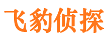 修文调查公司